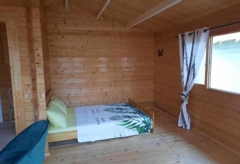 استودیوی استاندارد با چشم‌انداز دریا, Chalets Chomoni