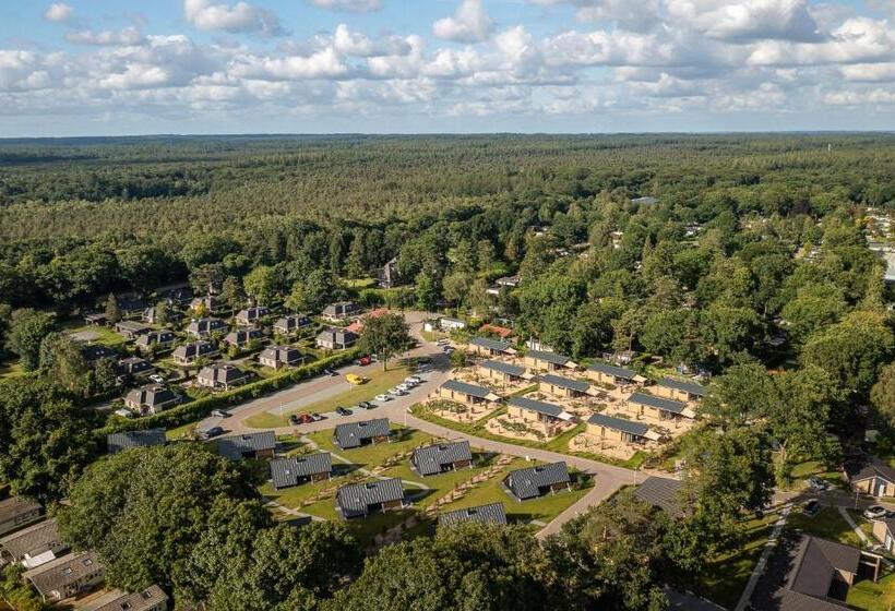 Номер Стандарт, De Ijsvogel   Het échte Veluwegevoel