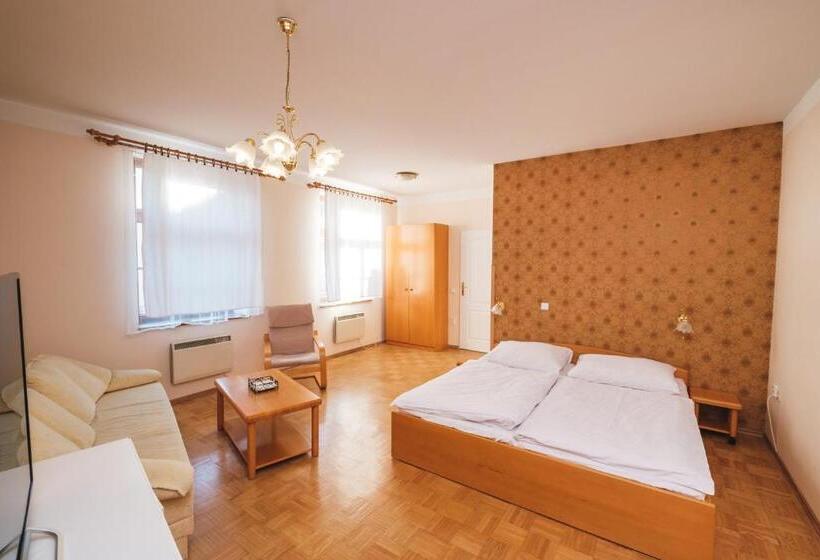 Люкс Повышенной Комфортности, Pension Jesuitska