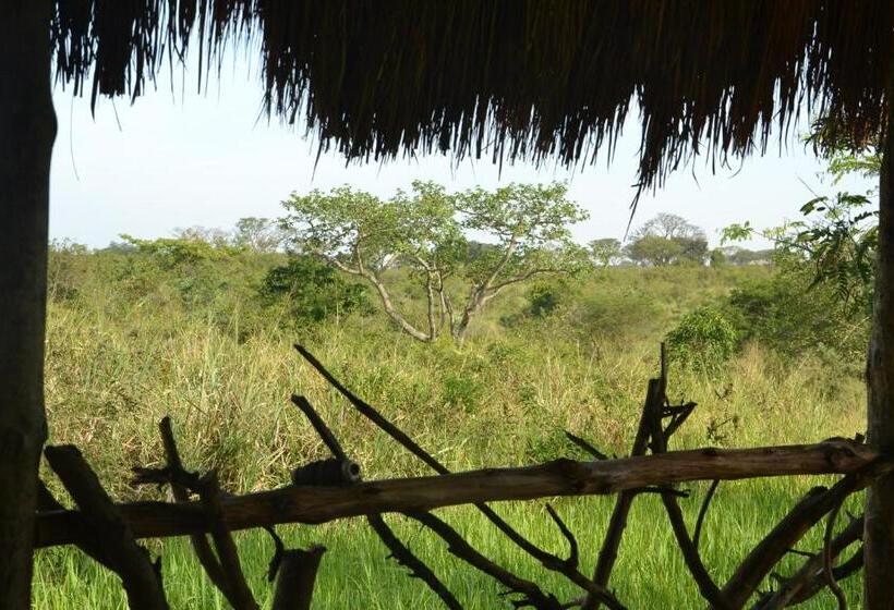 اتاق استاندارد, Topi Lodge