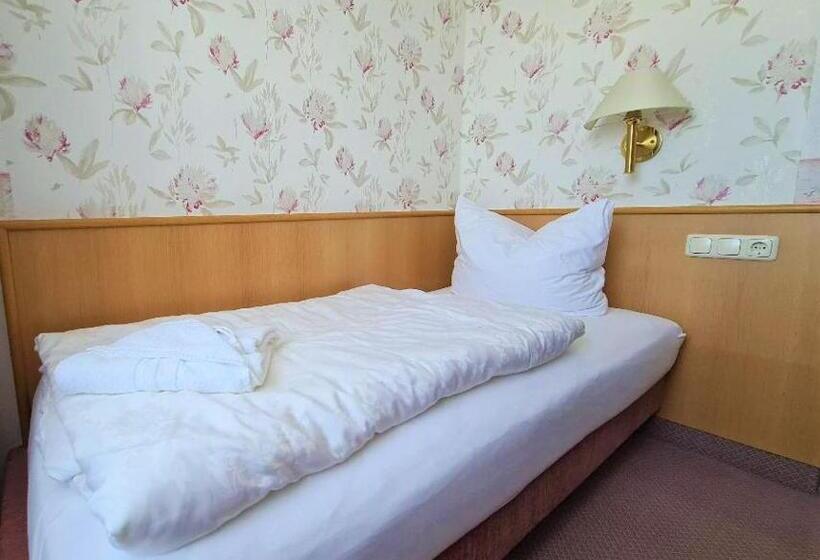 标准单人间, Familien Hotel Am Tränkbachtal Frauenwald