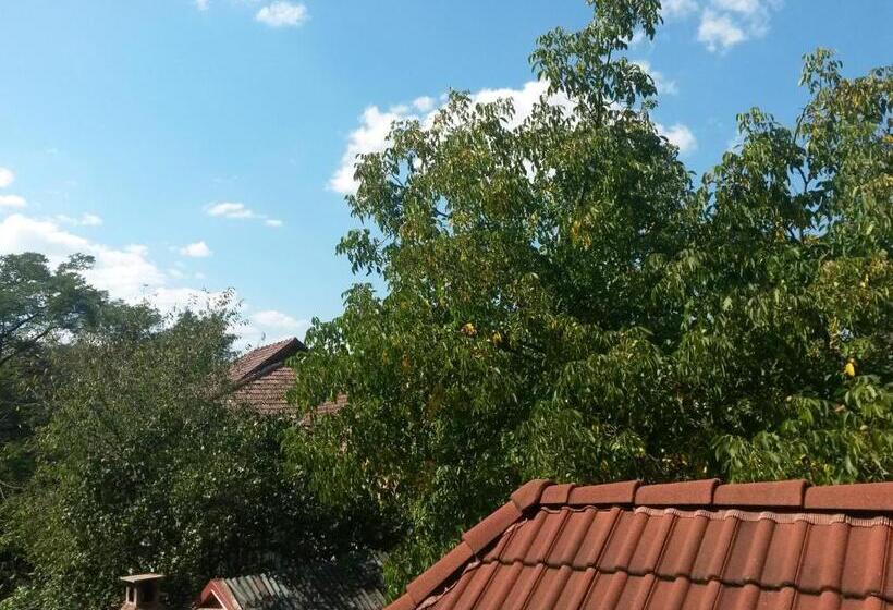 스탠다드 발코니 룸, Pensiunea Lőrincz  Panzió
