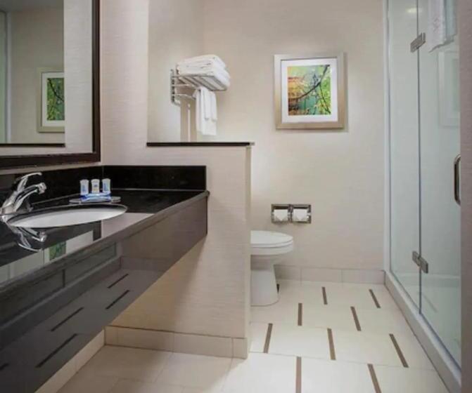 Люкс Кровать Кинг, Fairfield Inn & Suites By Marriott North Bergen
