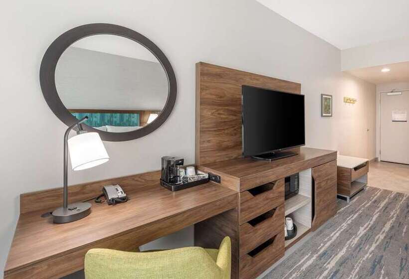 Номер Стандарт Адаптированный для Инвалидов, Hampton Inn Big Rapids