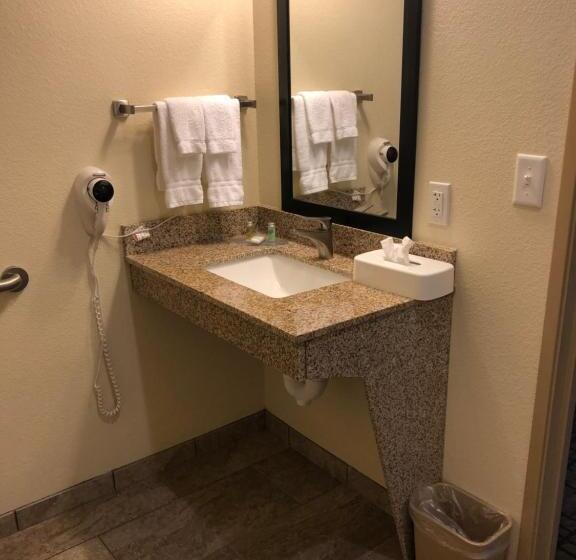 身障者適用キングサイズベッドルーム, Cobblestone Hotel & Suites   Paxton