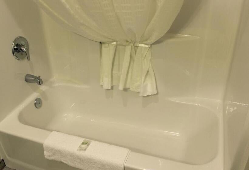 キングサイズベッドのデラックスルーム, Cobblestone Inn & Suites   Lamoni