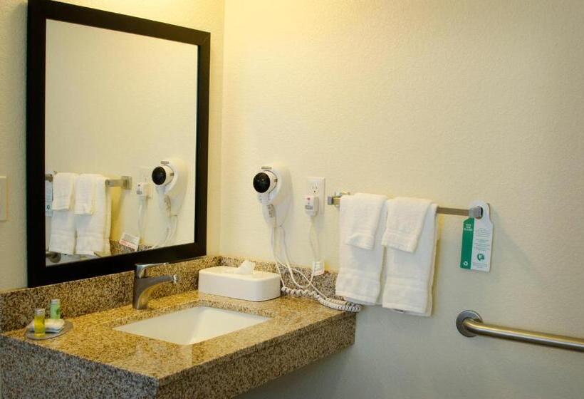 장애인을 위한 킹사이즈 침대 스탠다드 룸, Cobblestone Inn & Suites   Lamoni