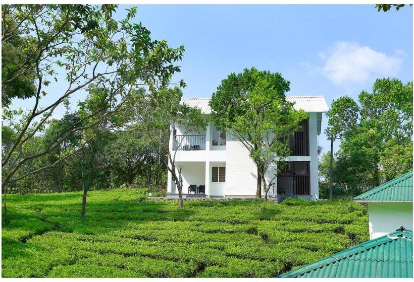 Номер Стандарт с Балконом, Holiday Vagamon