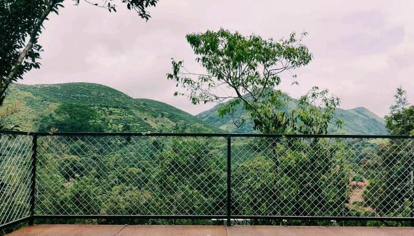 Standard Tent, Holiday Vagamon