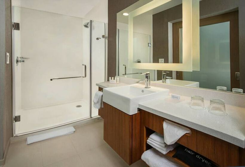 Люкс, Springhill Suites By Marriott Gainesville Haymarket