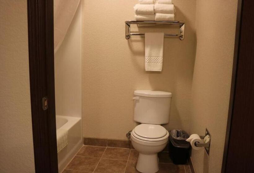 Стандартный Номер Кровать Кинг, Cobblestone Inn & Suites  Maryville