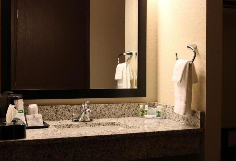 Люкс Кровать Кинг, Cobblestone Inn & Suites  Maryville