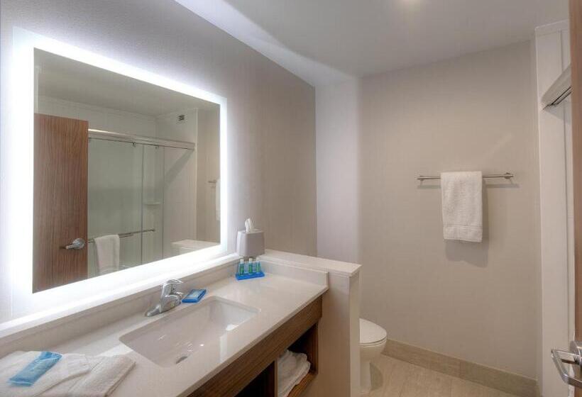 スイート, Holiday Inn Express & Suites   Fort Mill, An Ihg