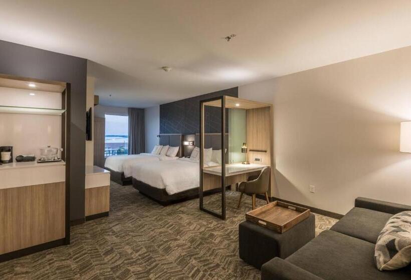 스위트, Springhill Suites By Marriott Dallas Rockwall