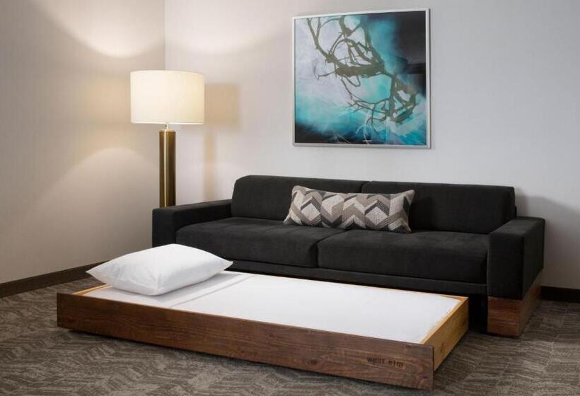 장애인을 위한 스위트, Springhill Suites By Marriott Dallas Rockwall