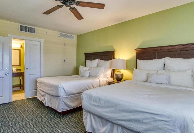 דירת שני חדרים, New Hotel Collection Harbourside