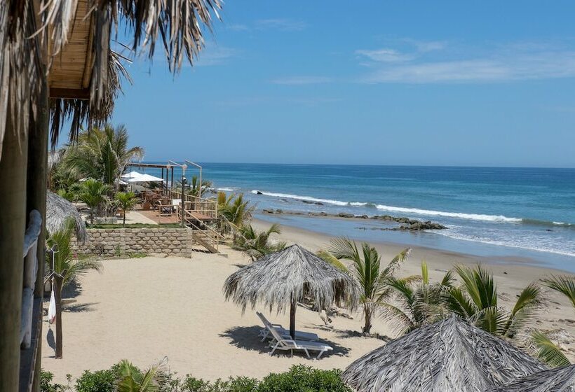 Полулюкс Вид на Море, Baja Canoas
