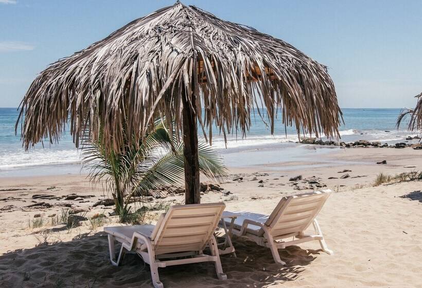 Полулюкс Вид на Море, Baja Canoas