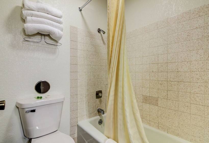 Номер Стандарт 2 Двуспальные Кровати, Bloomer Inn & Suites