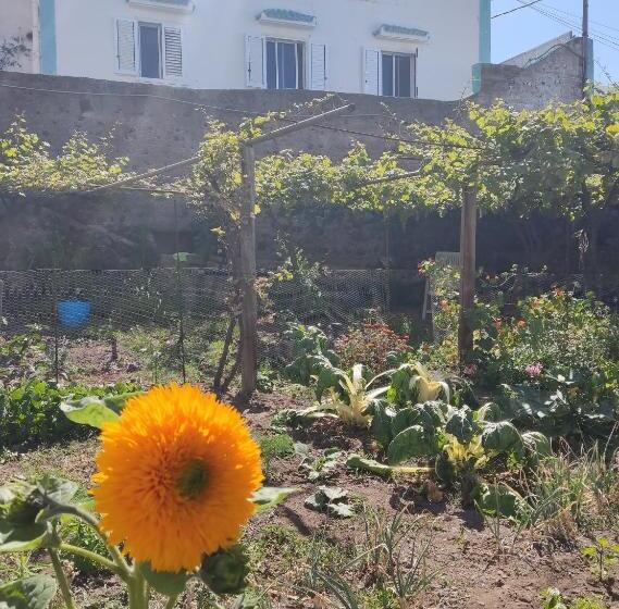 标准间, Un Jardin Al Mar