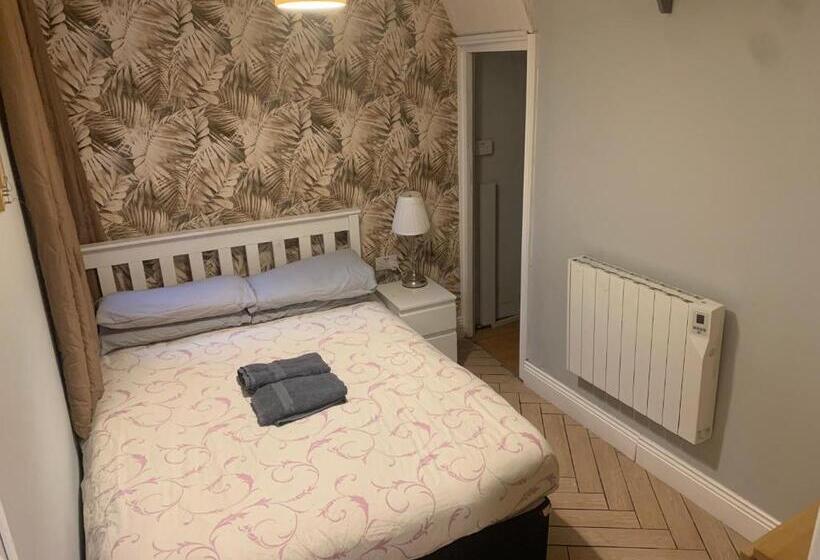 标准间, Wake Up With 2 Cats On Your Face