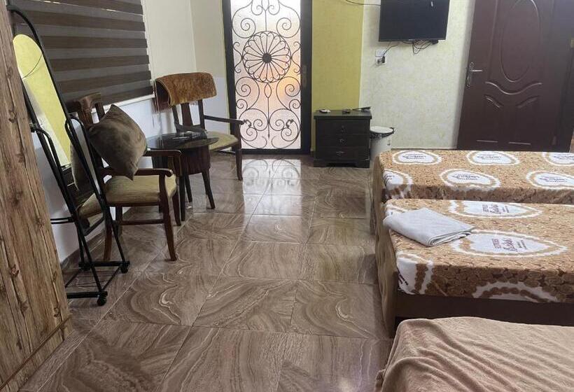 اتاق استاندارد سه نفره, Dopamine Room