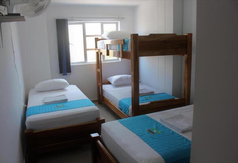 اتاق استاندارد چهار تخته, Brisas Del Nare