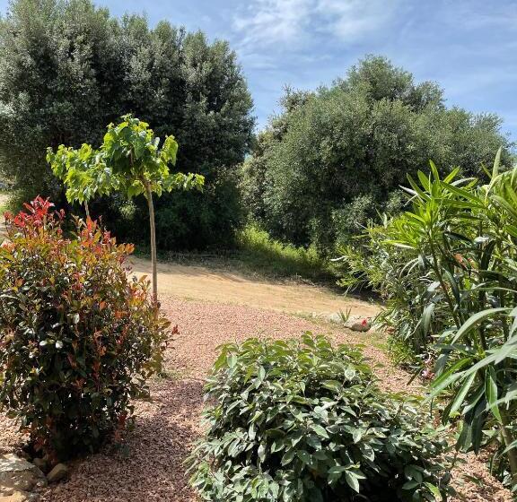 Стандартный Номер Кровать Кинг, Résidence Patios Di Pruno