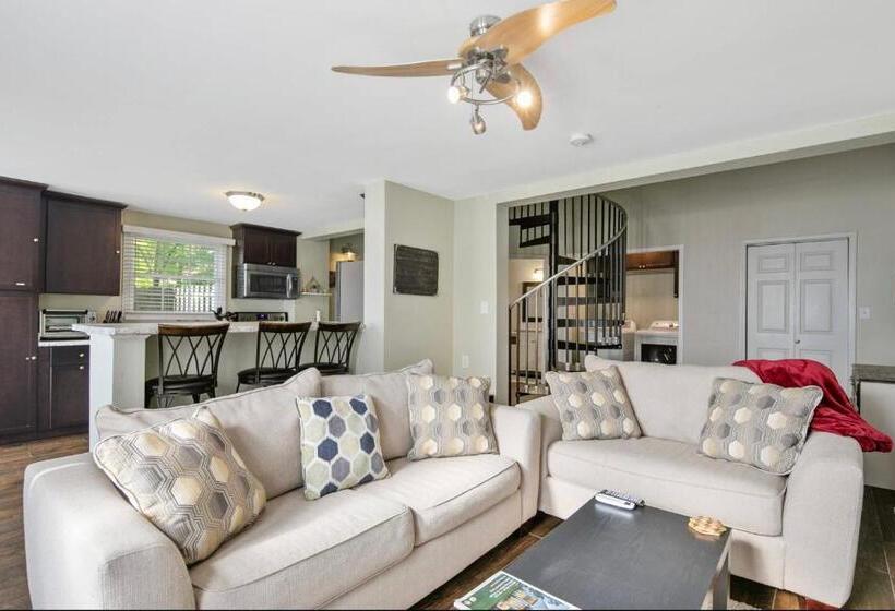 استودیوی استاندارد, Haymount Hideaway