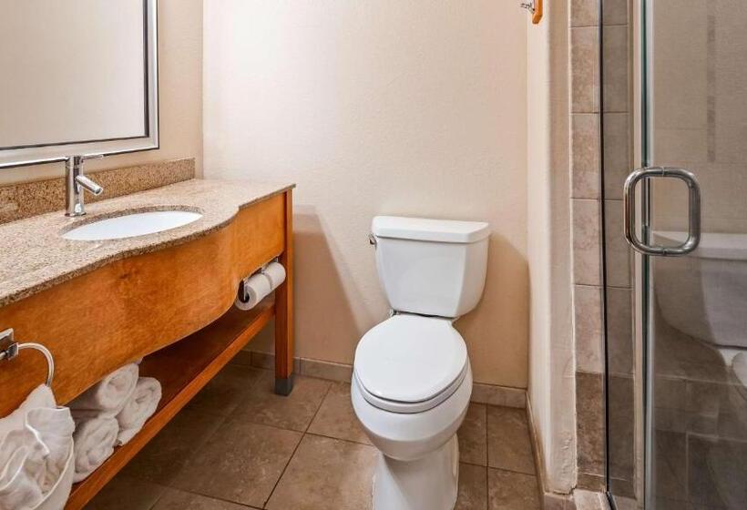 Номер Стандарт, Best Western Plus Rose City Conference Center Inn