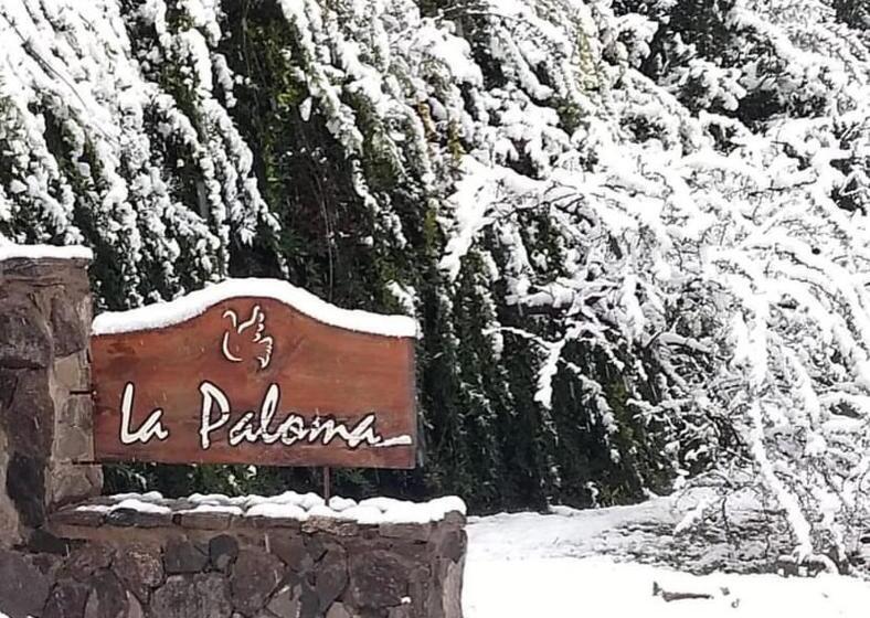 Апартаменты 1 Спальня Вид на Бассейн, La Paloma Posada