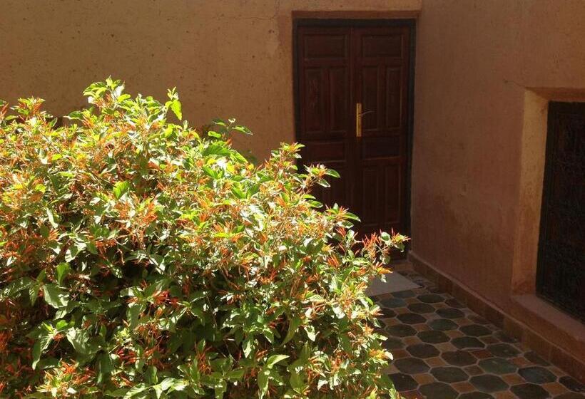 Номер Стандарт, Riad Timadrouine