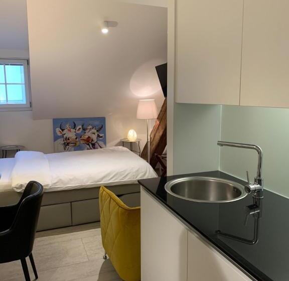 Одноместный Номер Basic, Smartroom The Residence La Cittadella Baden