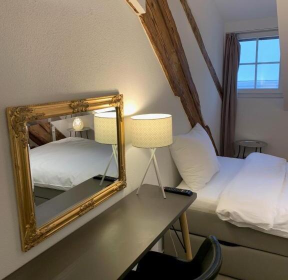 单人基本间, Smartroom The Residence La Cittadella Baden