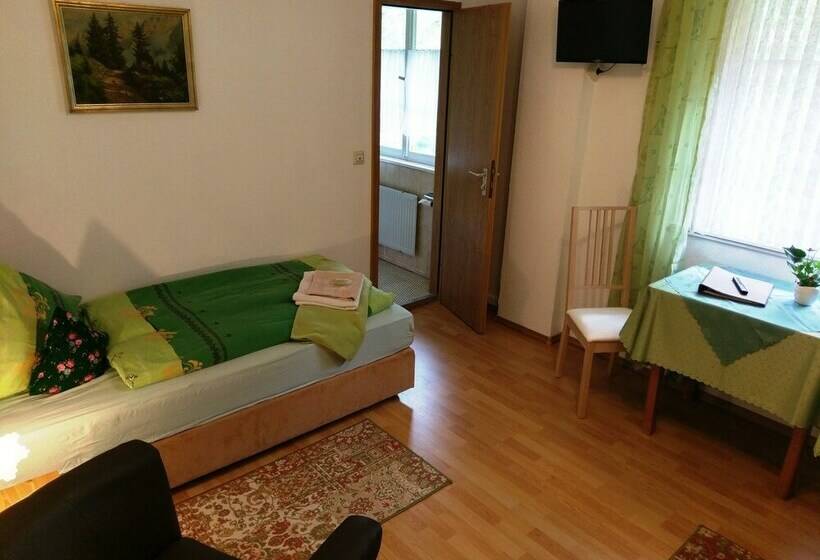 스탠다드 싱글 룸, Stahlbad Bad Peterstal
