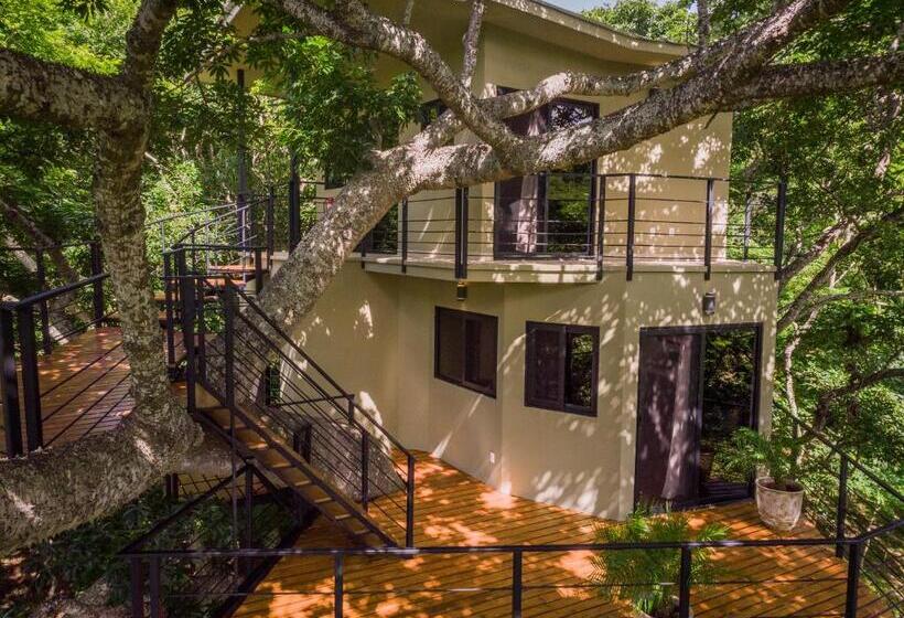 Бунгало Стандарт, Treecasa Hotel & Resort Nicaragua