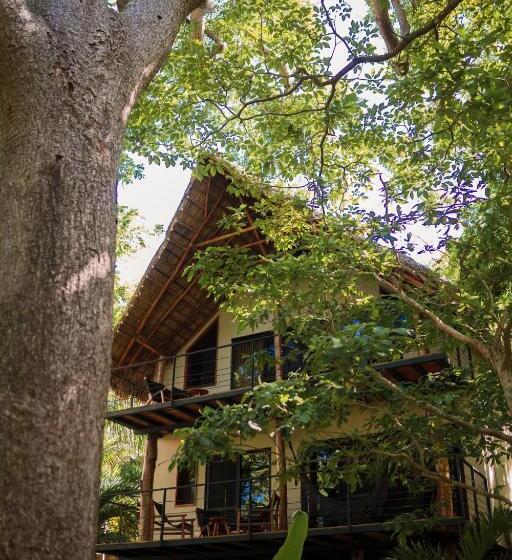اتاق استاندارد با تخت بزرگ, Treecasa Hotel & Resort Nicaragua