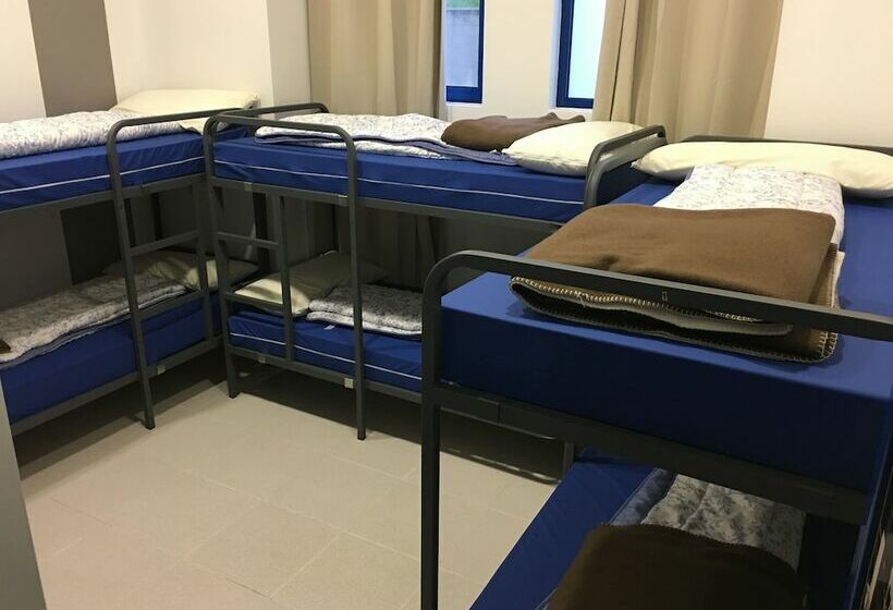 共用房间的床, Hostel De Las Facultades