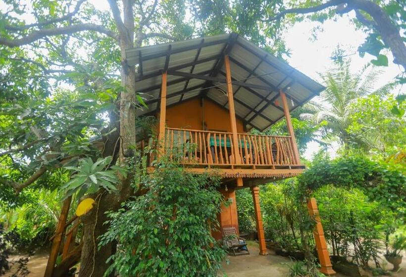 家庭间, Sigiriya Pikaso Homestay