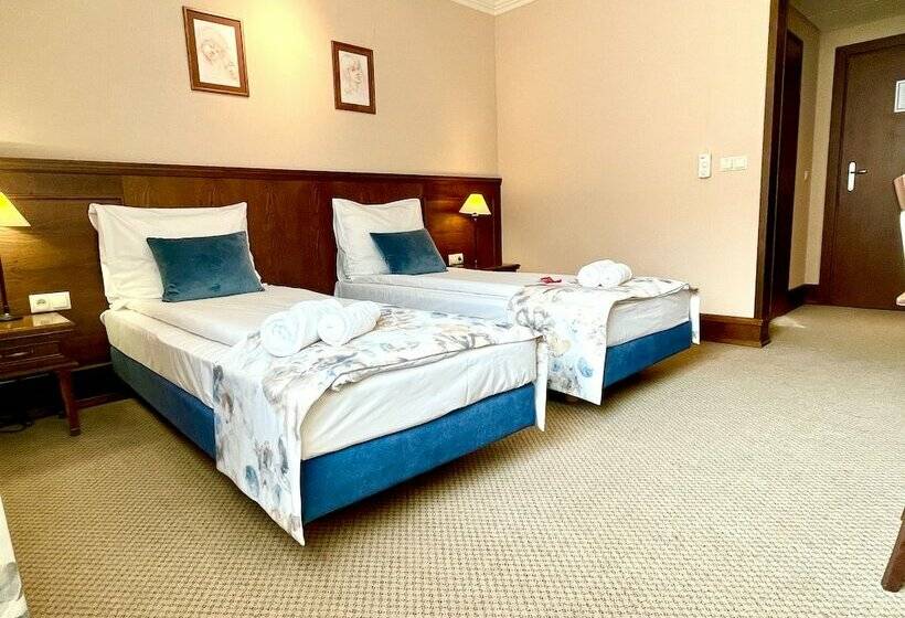 Habitación Deluxe, Park Hotel & Fitness Club Rzeszów