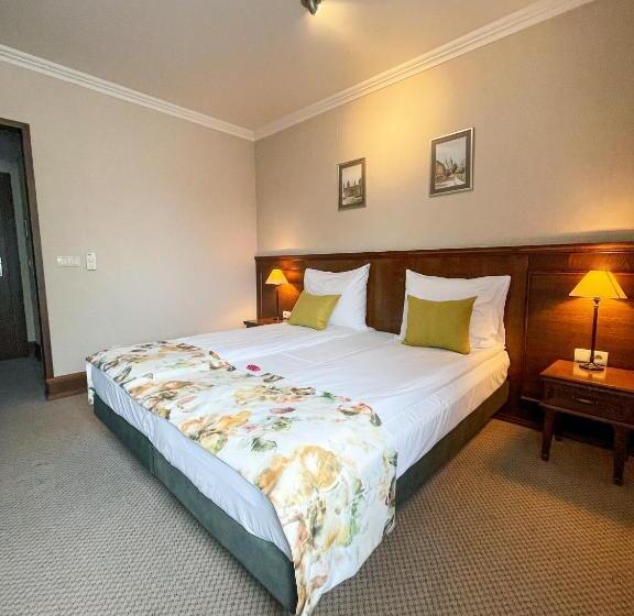 Habitación Deluxe Cama King, Park Hotel & Fitness Club Rzeszów