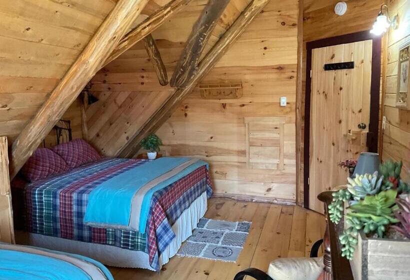 Номер Стандарт, Lodge Solange