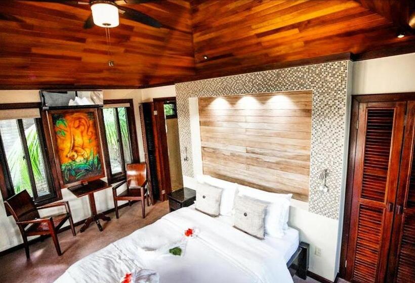 استودیو استاندارد با تخت کینگ, Pur Boutique Cabanas, Adults Only