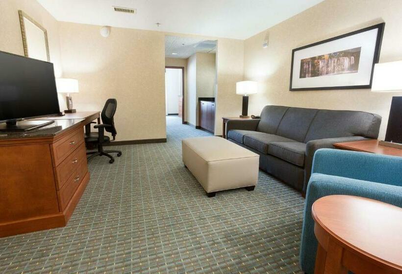 Люкс Кровать Кинг, Drury Inn & Suites Burlington