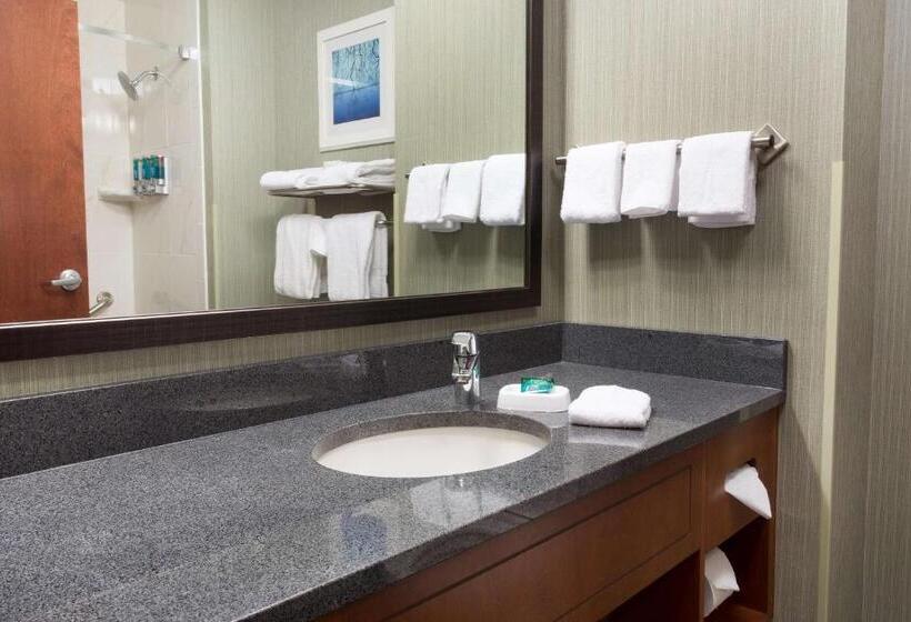 Номер Deluxe Адаптированный для Инвалидов, Drury Inn & Suites Burlington