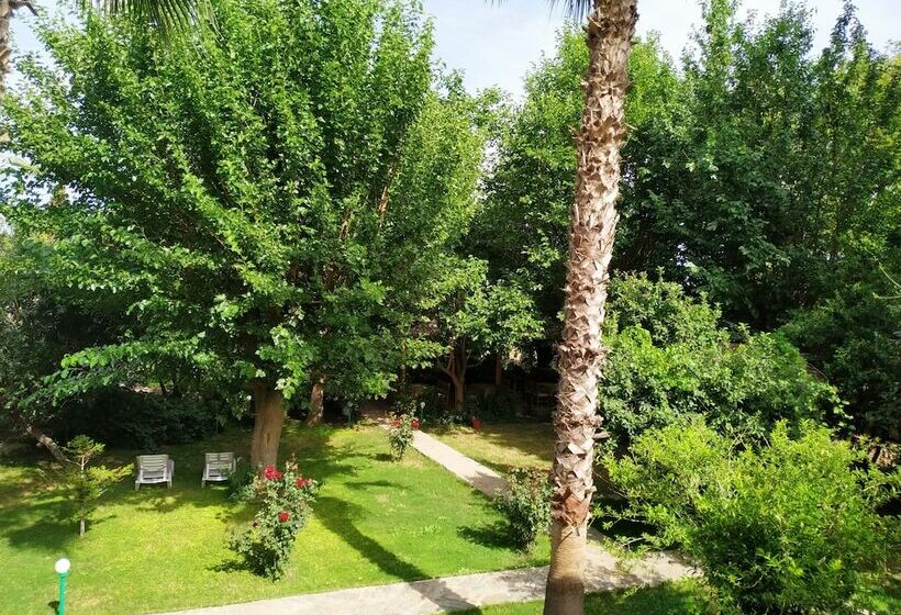 חדר סטנדרט, Olympos Yavuz