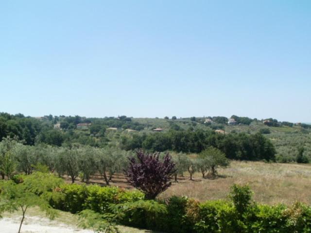 اتاق استاندارد, Agriturismo Le Quattro Stagioni
