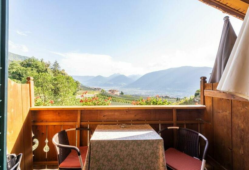 غرفة قياسية, Moserhof