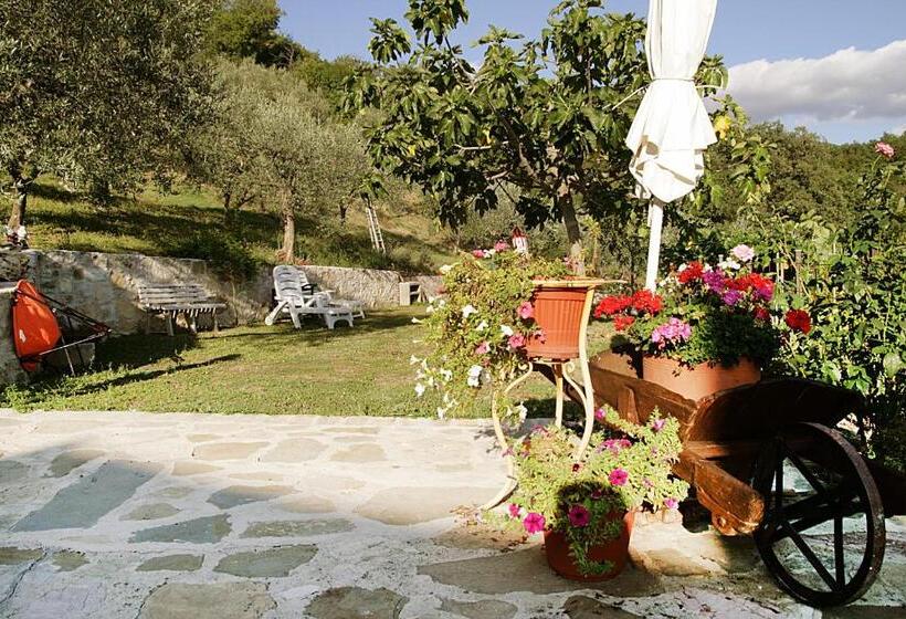 Апартаменты 1 Спальня Вид на Сад, Bed & Breakfast Casa Lisetta