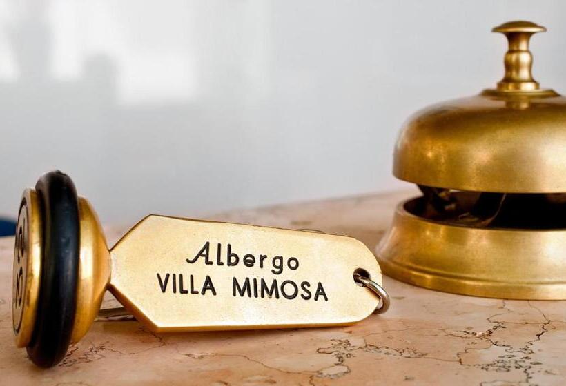 스탠다드 룸, Albergo Villa Mimosa